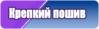 Жен толстовка